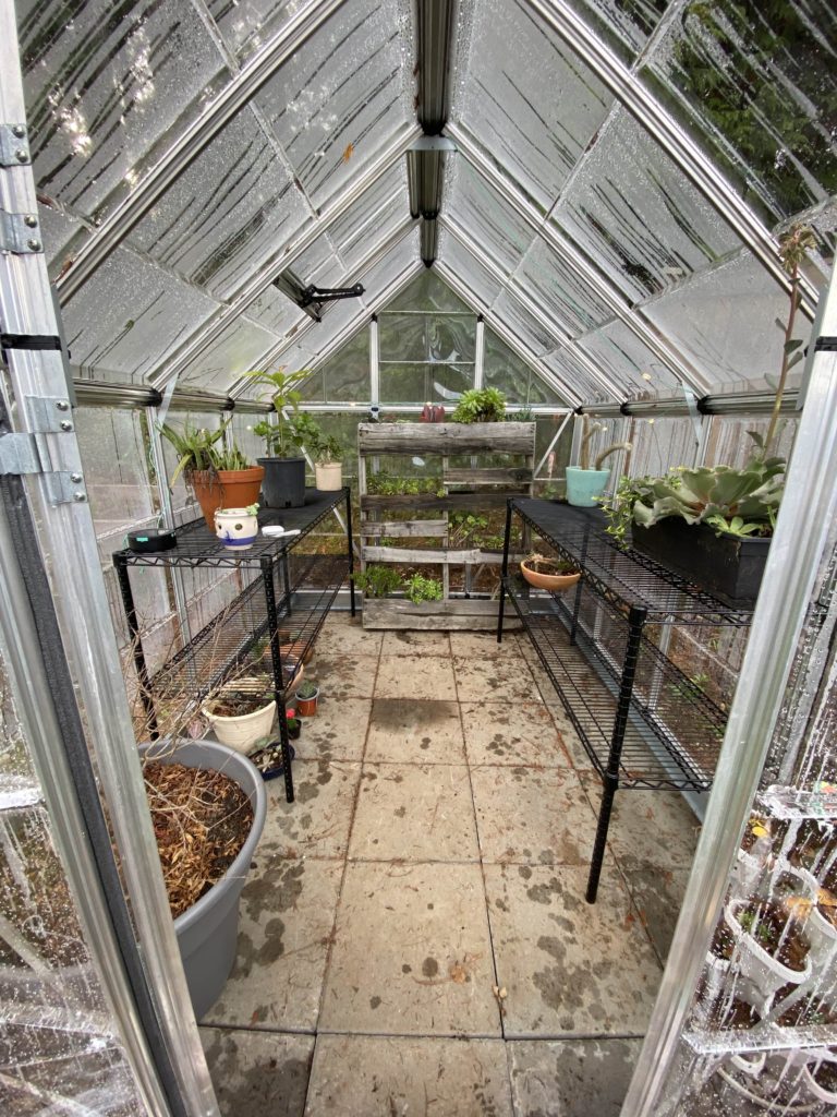 Interior of Palram Canopia Snap and Grow Greenhouse 2