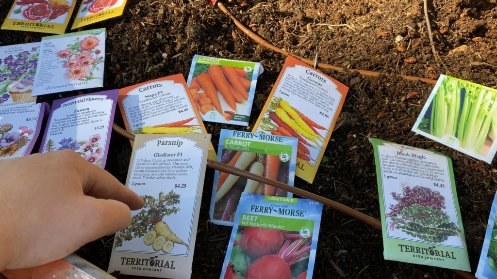 Fall Harvest Root Veggies