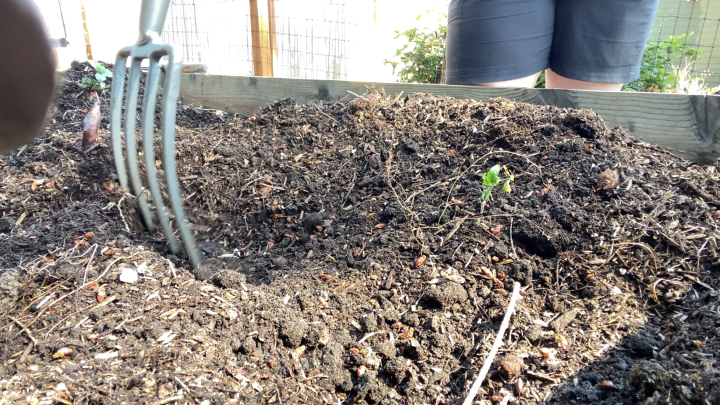 Tilling Soil Amendment