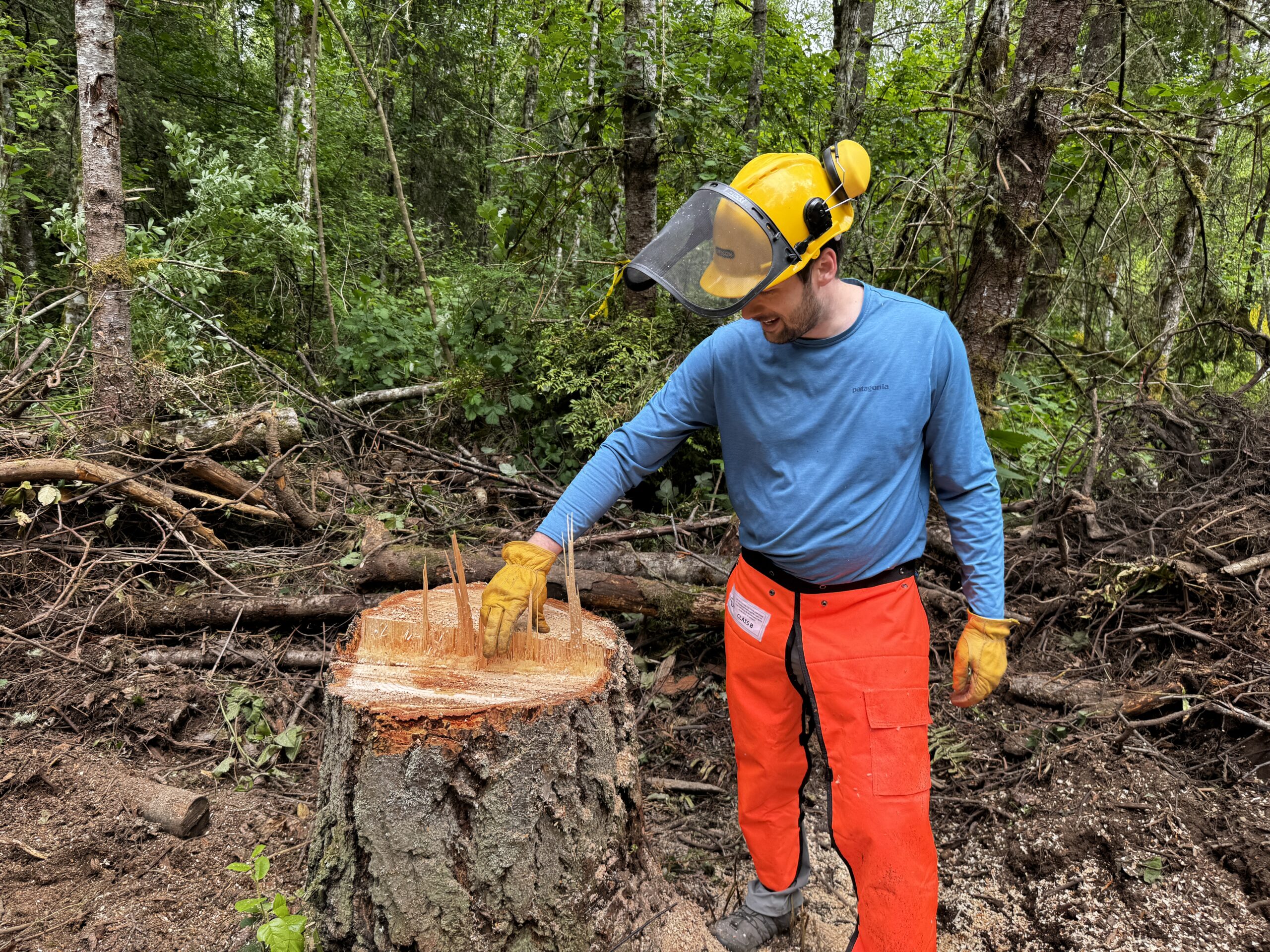The Year We Cleared the Land: A Slow Start to Our Big Dream (Part 1)